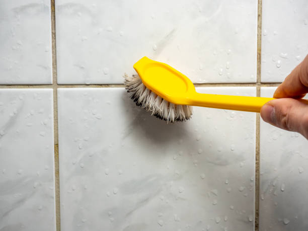 Best Office Mold Removal Services  in Malakoff, TX