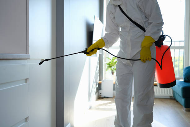 Best Toxic Mold Removal  in Malakoff, TX