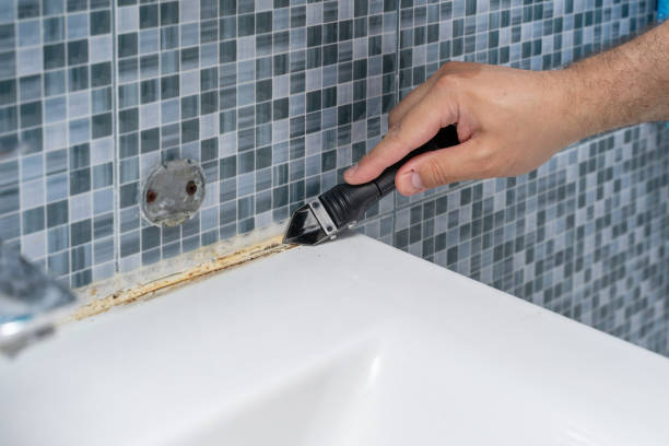 Best Affordable Mold Removal  in Malakoff, TX
